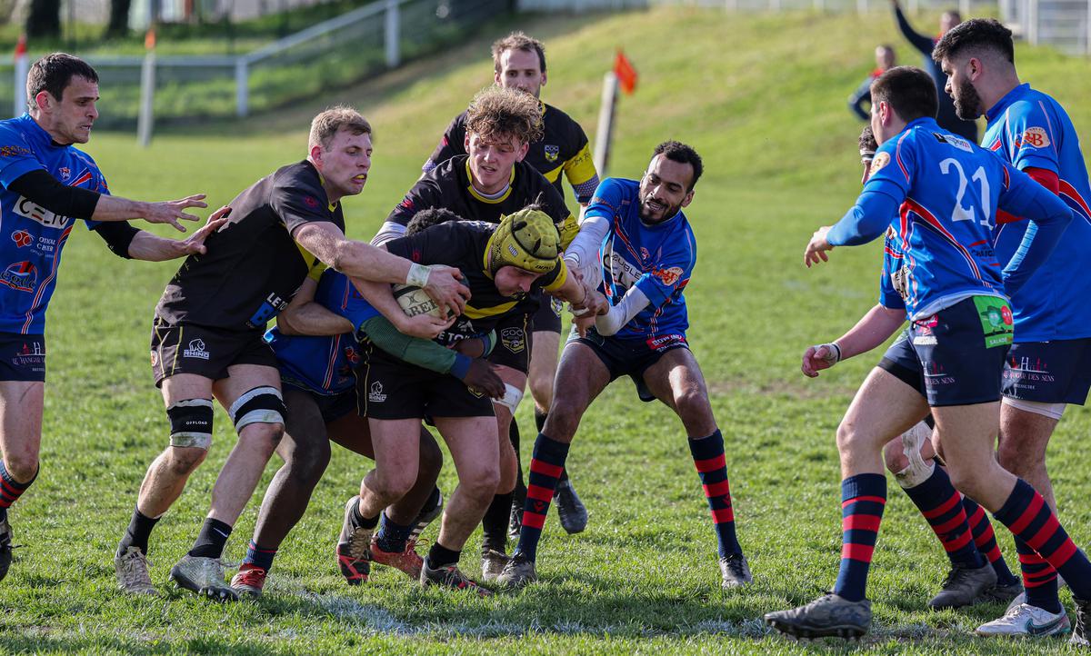 , Rugby (séries régionales) : sept équipes charentaises en phases finales ce week-end